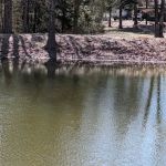 Shady Oaks Resort - RV Full Hookups, Cabins & Guest Lodge