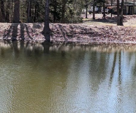 Shady Oaks Resort - RV Full Hookups, Cabins & Guest Lodge