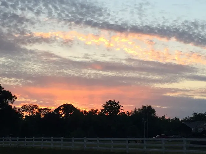 Carter's RV Park 1