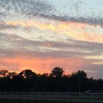 Carter's RV Park