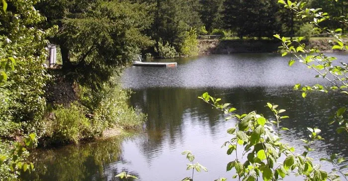 Rykers Retreat Rv Park 1