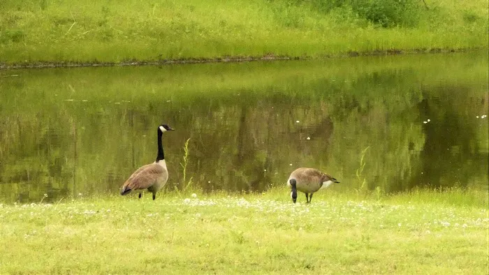 Pecan Valley RV Park LLC 2