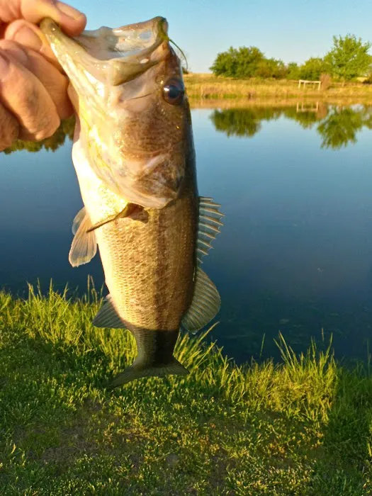 Brixey Lake RV Park 7