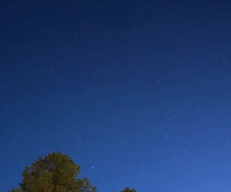 Little Pine Cabins & RV Park