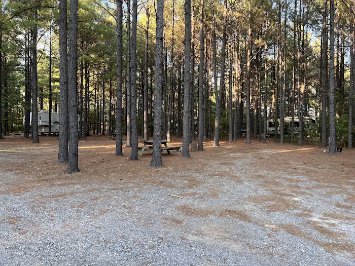 Little Pine Cabins & RV Park 8