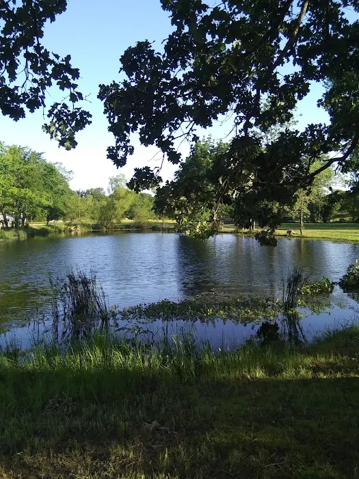 DW's RV Park 9