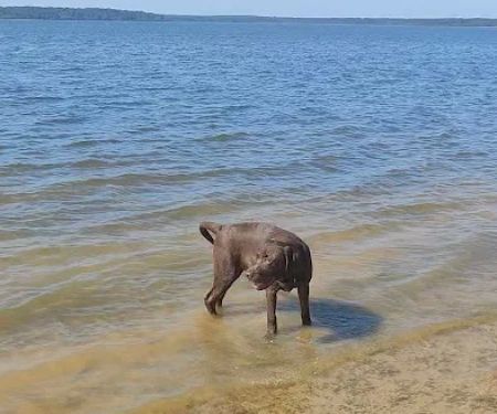 Camp Kiwanis on Pat Mayse Lake