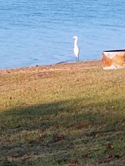 Camp Kiwanis on Pat Mayse Lake 8
