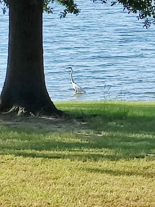 Camp Kiwanis on Pat Mayse Lake 2