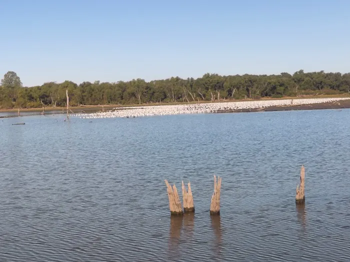 Cedar Park Campground 8