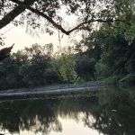 Carbolyn Park Campground