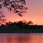 Bell Cow Lake Campground - Area A