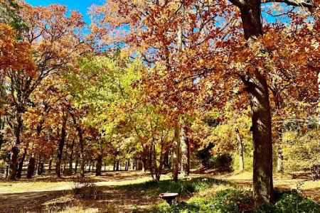 Rolling Stone Stables and RV Park