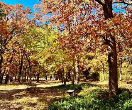 Rolling Stone Stables and RV Park