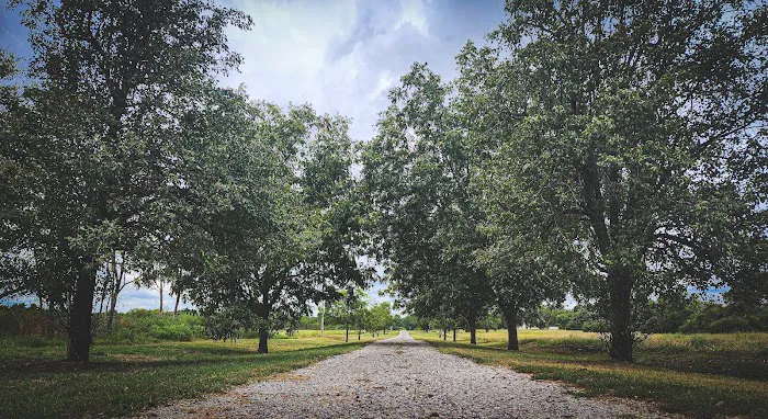 The Roost and Ride Ranch 1