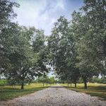 The Roost and Ride Ranch