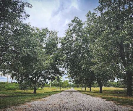 The Roost and Ride Ranch