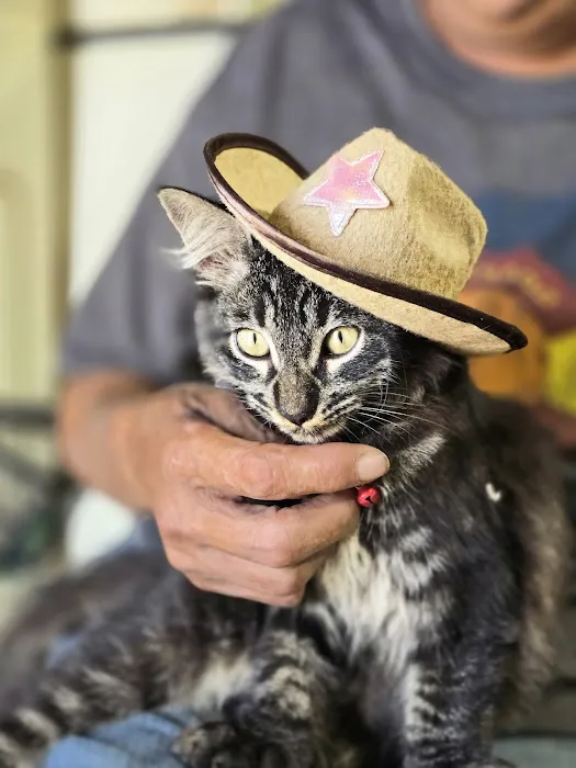 The Roost and Ride Ranch 8