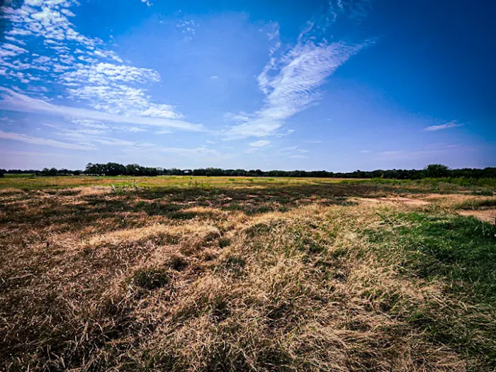 The Roost and Ride Ranch 5