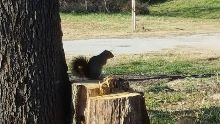 Eagle Pass Campground 4