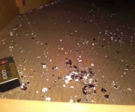 Red's Rockin RV Park