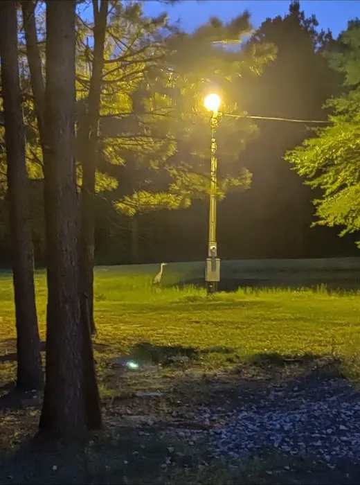 Lovin' Life RV Park and Country Store 1