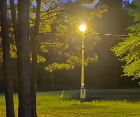 Lovin' Life RV Park and Country Store