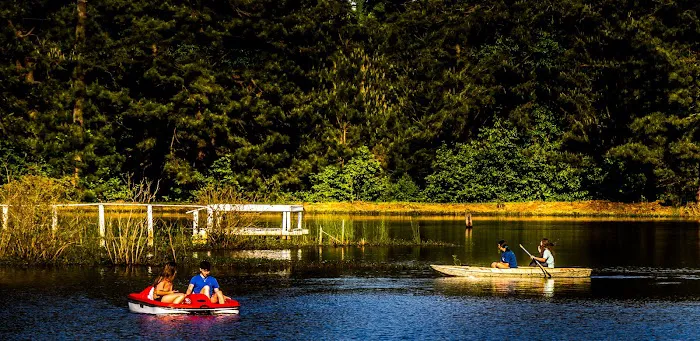 Forest Lake RV Park and Events, LLC 7