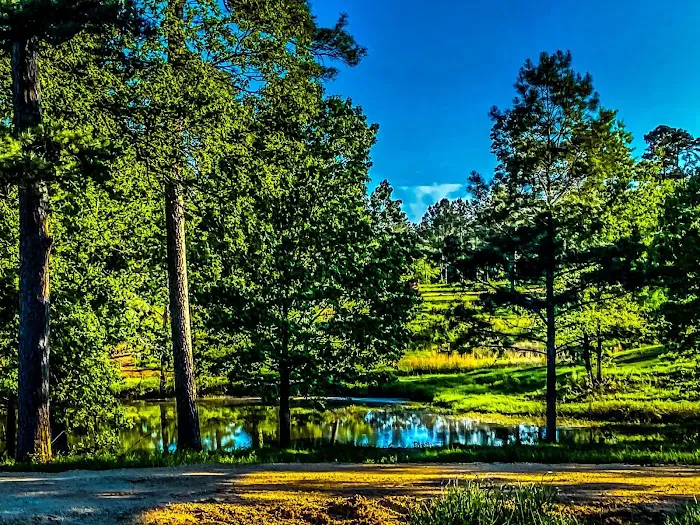 Forest Lake RV Park and Events, LLC 10