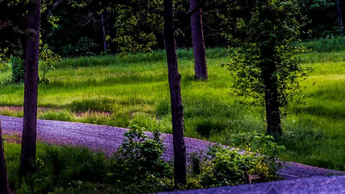 Forest Lake RV Park and Events, LLC 5