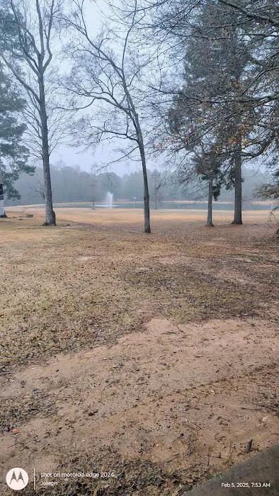 Shady Pines RV Park 8