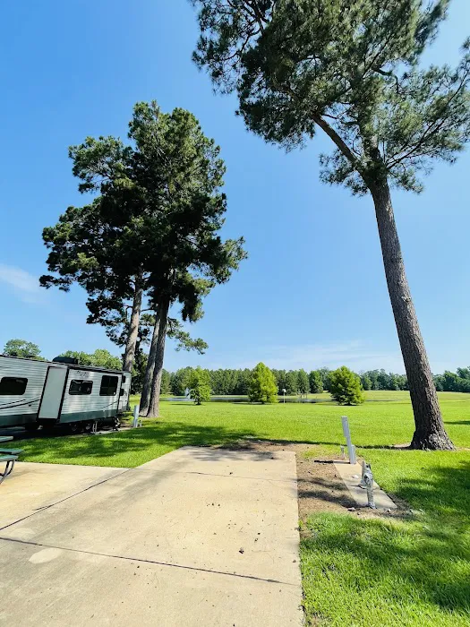 Shady Pines RV Park 5