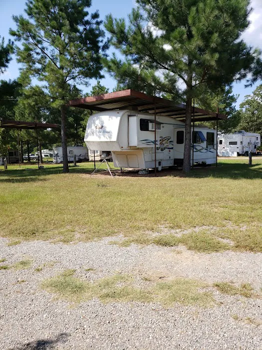 Dragon RV 3