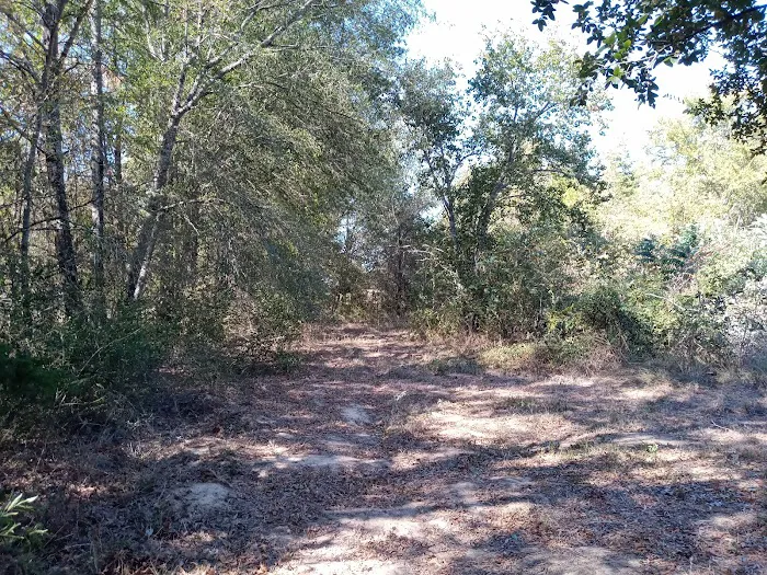 Eagle Nest Rv Park 1