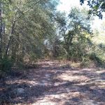 Eagle Nest Rv Park