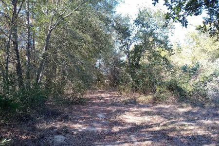 Eagle Nest Rv Park