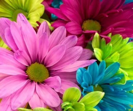 Red's Rockin Harrah Rv Park