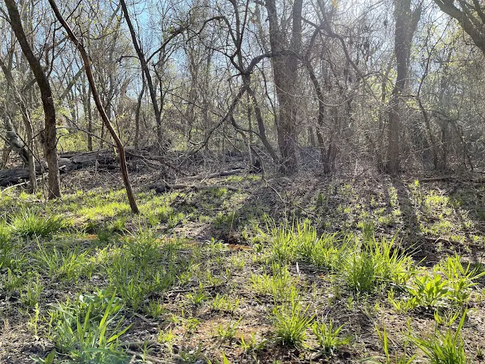 Central State Park 6
