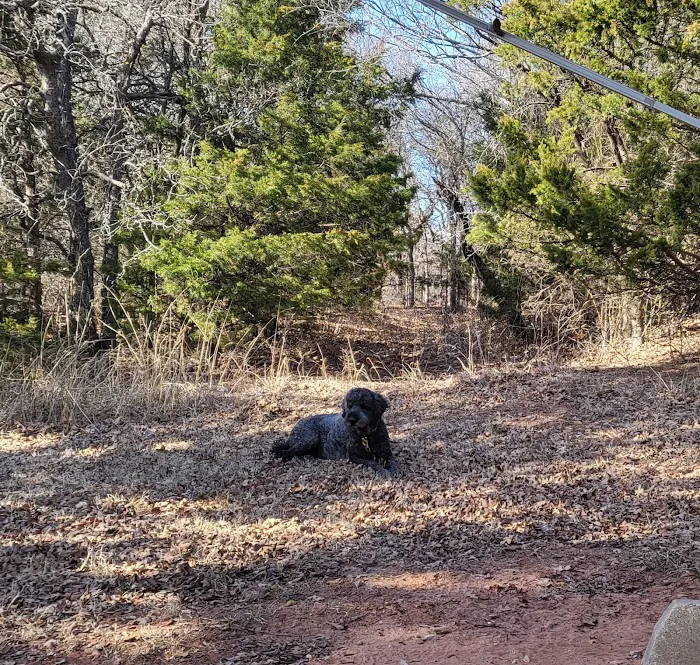 Arcadia Lake Campground 8