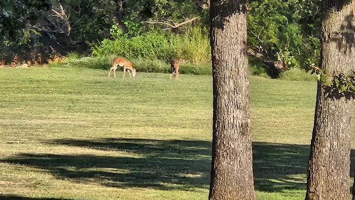 Arcadia Lake Campground 2