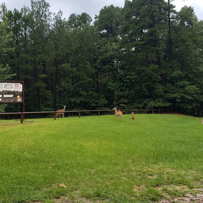 Piney Point (recgovnpsdata) 6