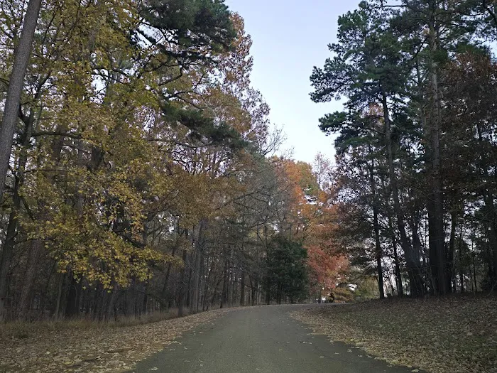 Piney Point (recgovnpsdata) 7