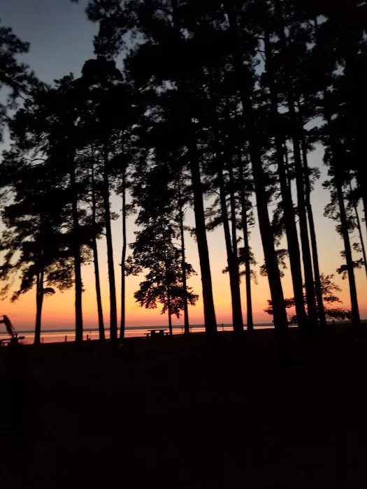 Piney Point (recgovnpsdata) 10