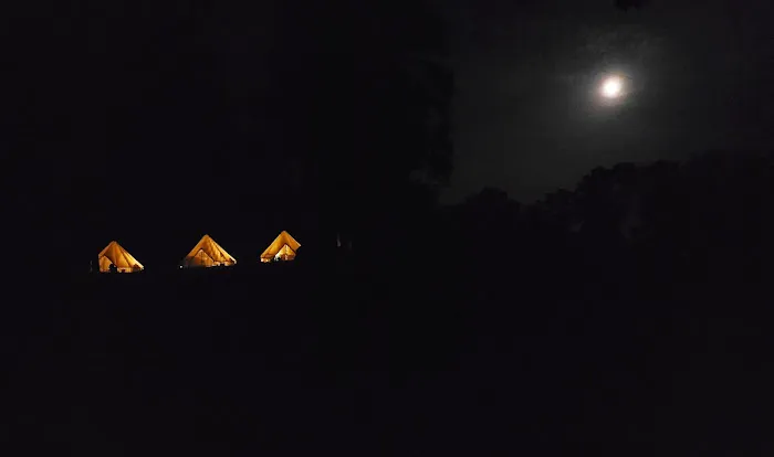 The Sycamore Glampground 5