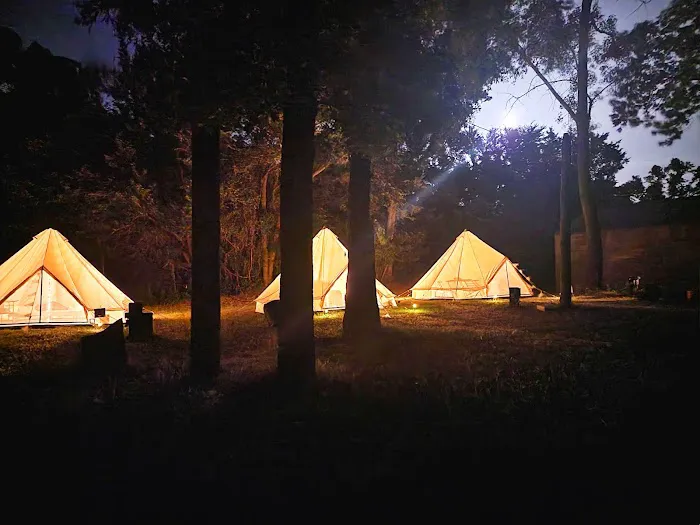 The Sycamore Glampground 8