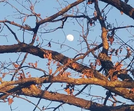 Kullihoma Camp Ground