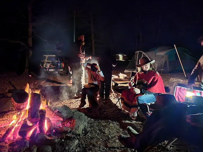 Fox Campsite 1
