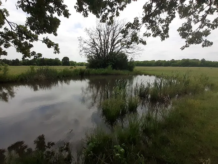 Lake Durant Campground 4