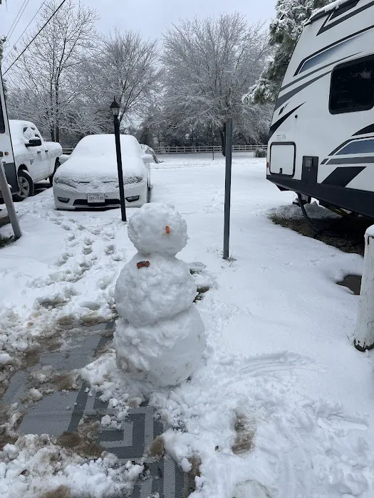 Live Oaks RV Parks 5
