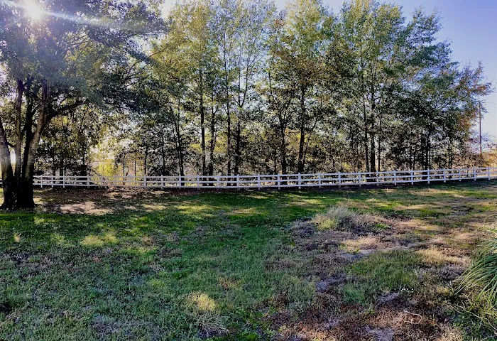 Live Oaks RV park A 5